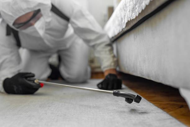 Professional Mosquito Control technician working in Roy, UT
