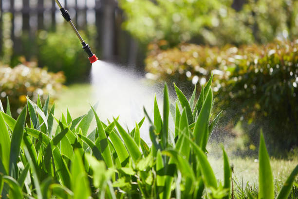 24/7 Emergency Mosquito Control experts in Roy, UT