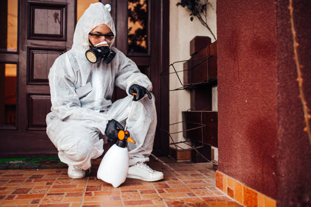 Reliable Mosquito Control contractor in Roy, UT by Nex Pest Control