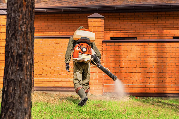 Top rated local Mosquito Control specialists in Roy, UT